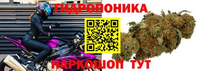 Альфа ПВП Камышлов