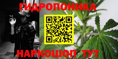 mdpv Кандалакша