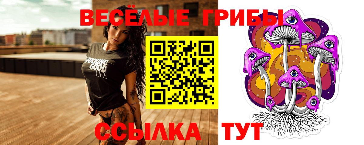 Ялуторовск  как найти закладки  Вход с VPN  Галлюциногенные грибы GOLDEN TEACHER 